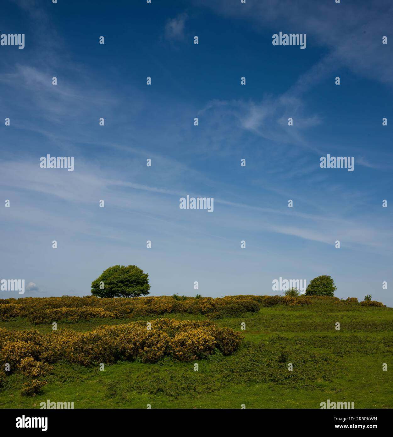 Cissbury Ring - West Sussex UK Foto Stock