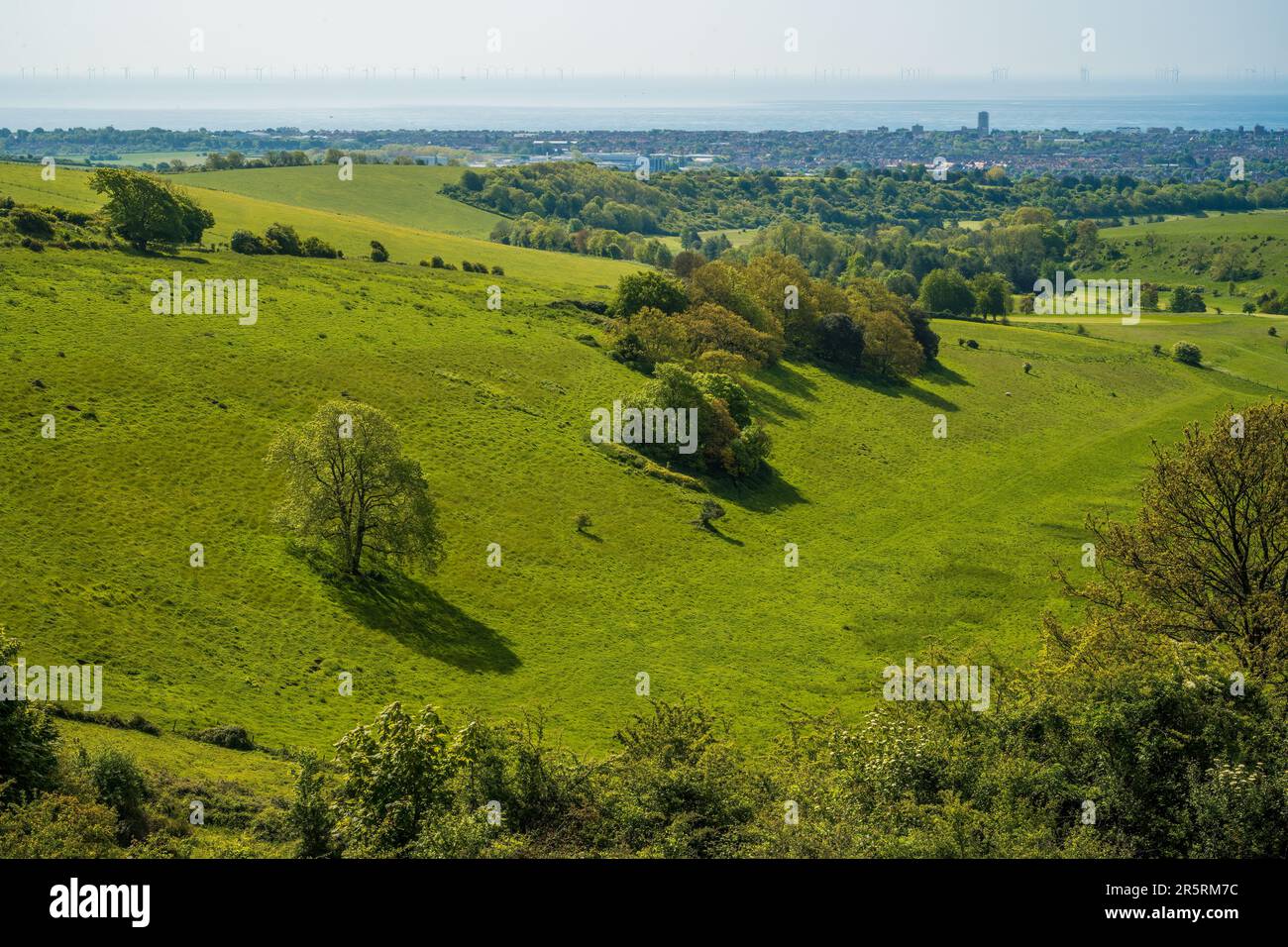 Cissbury Ring - West Sussex UK Foto Stock