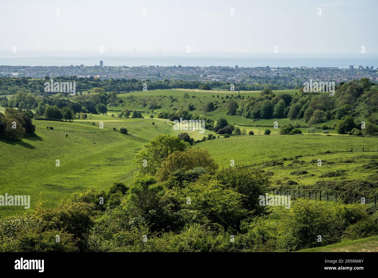 Cissbury Ring - West Sussex UK Foto Stock