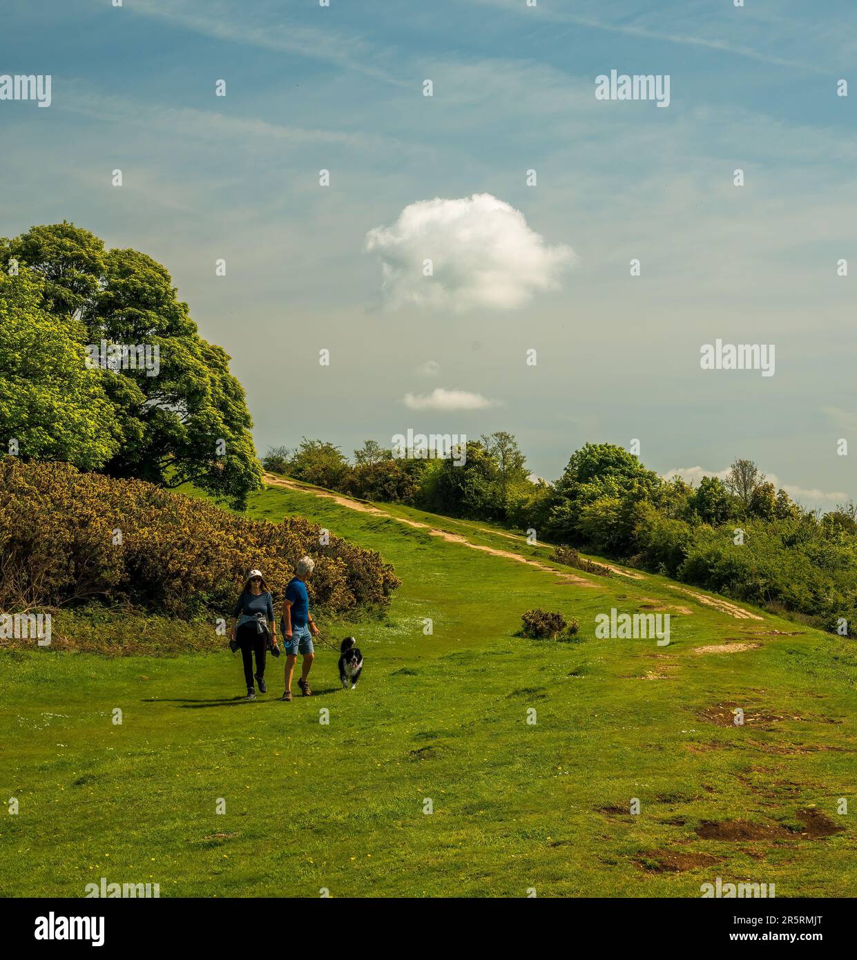 Cissbury Ring - West Sussex UK Foto Stock