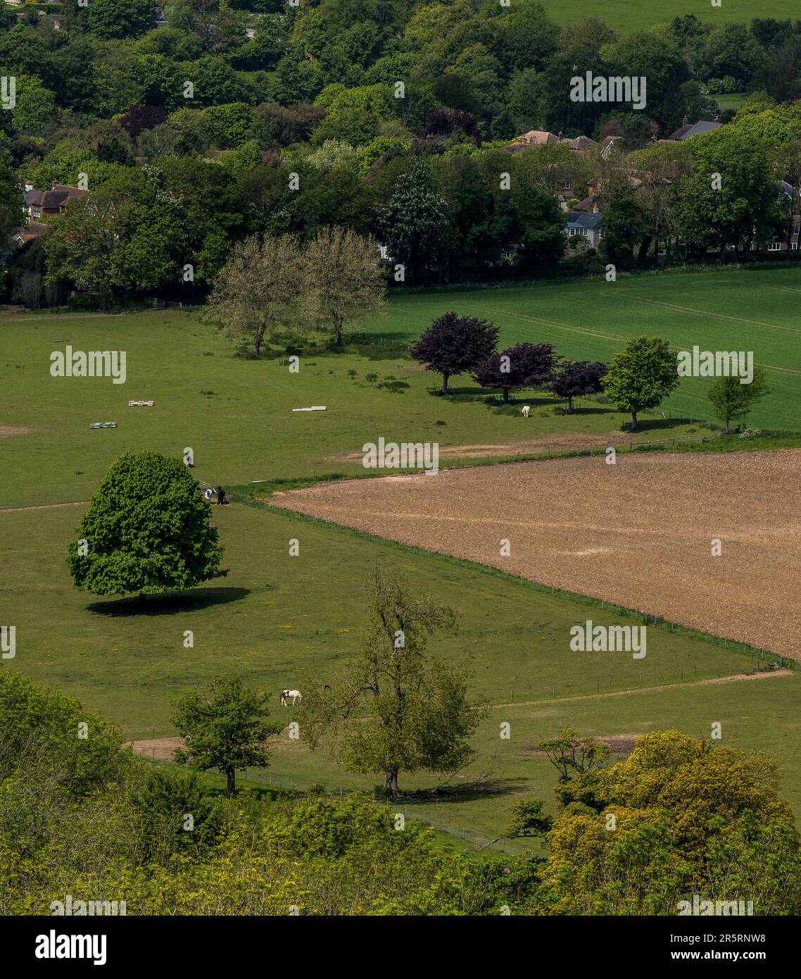 Cissbury Ring - West Sussex UK Foto Stock
