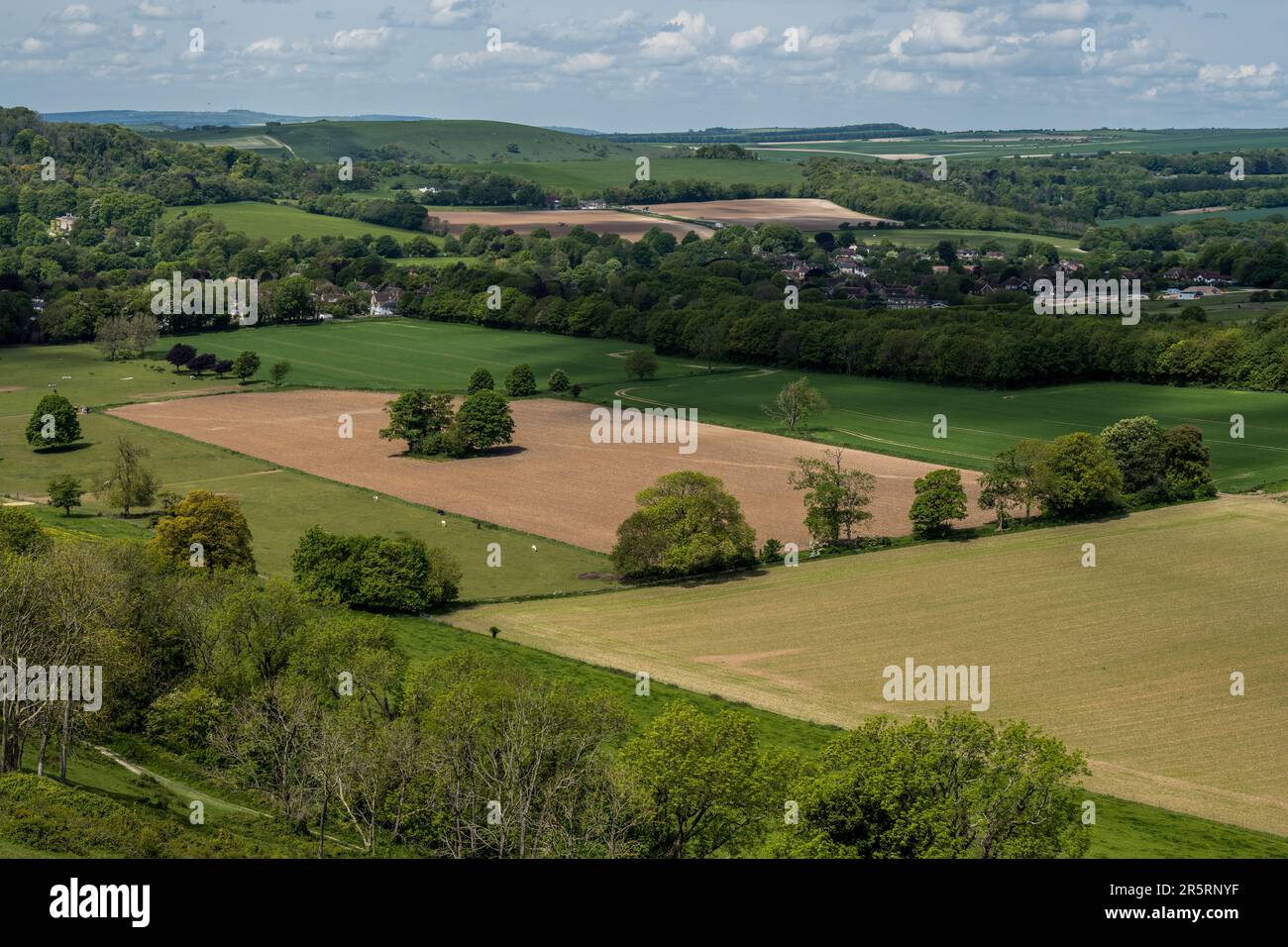 Cissbury Ring - West Sussex UK Foto Stock