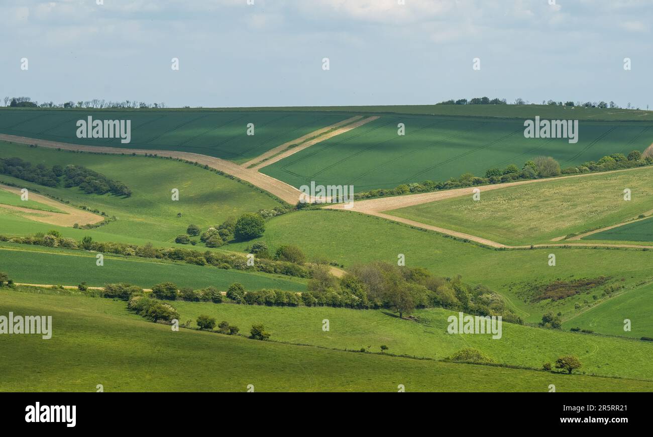 Cissbury Ring - West Sussex UK Foto Stock