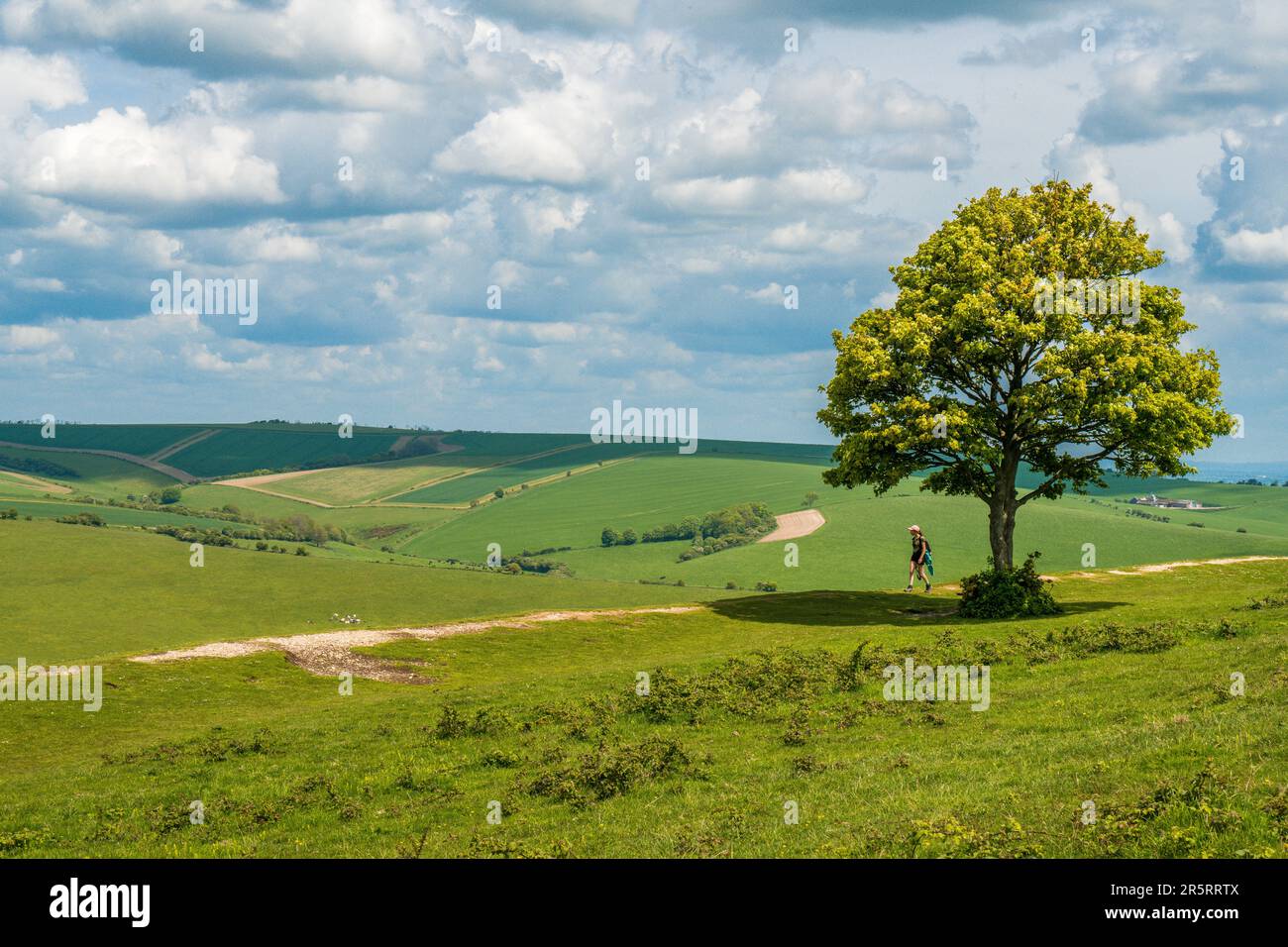 Cissbury Ring - West Sussex UK Foto Stock