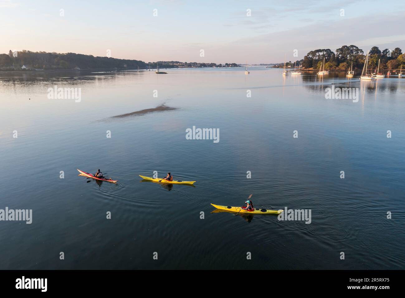 Francia, Morbihan, le Bono, kayak ortica all'alba sul fiume Auray e la baia di Kerdrean Foto Stock