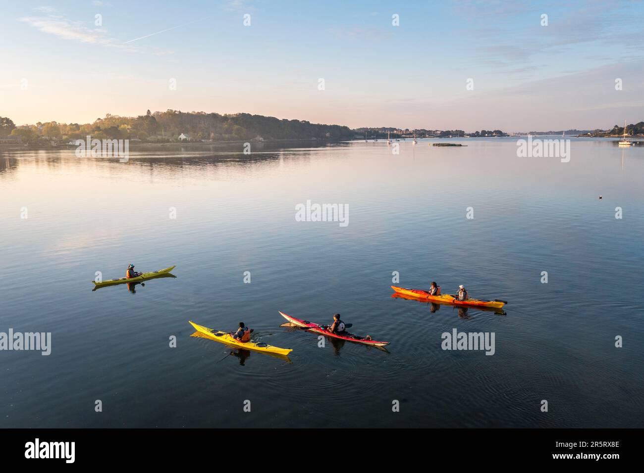 Francia, Morbihan, le Bono, kayak ortica all'alba sul fiume Auray e la baia di Kerdrean Foto Stock