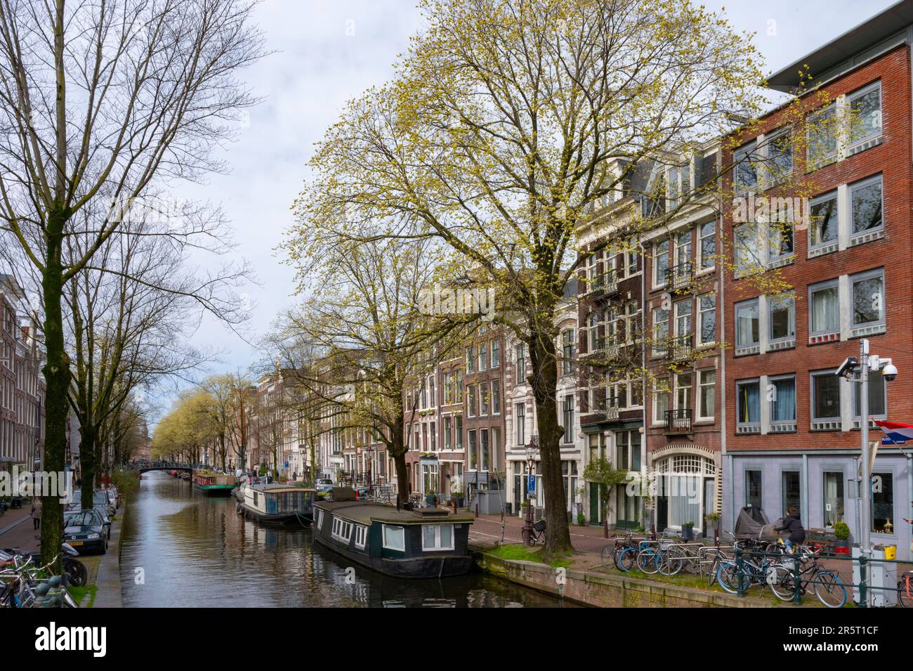 Olanda, Amsterdam, centro, quartiere Jordaan, Bloemgracht Foto Stock