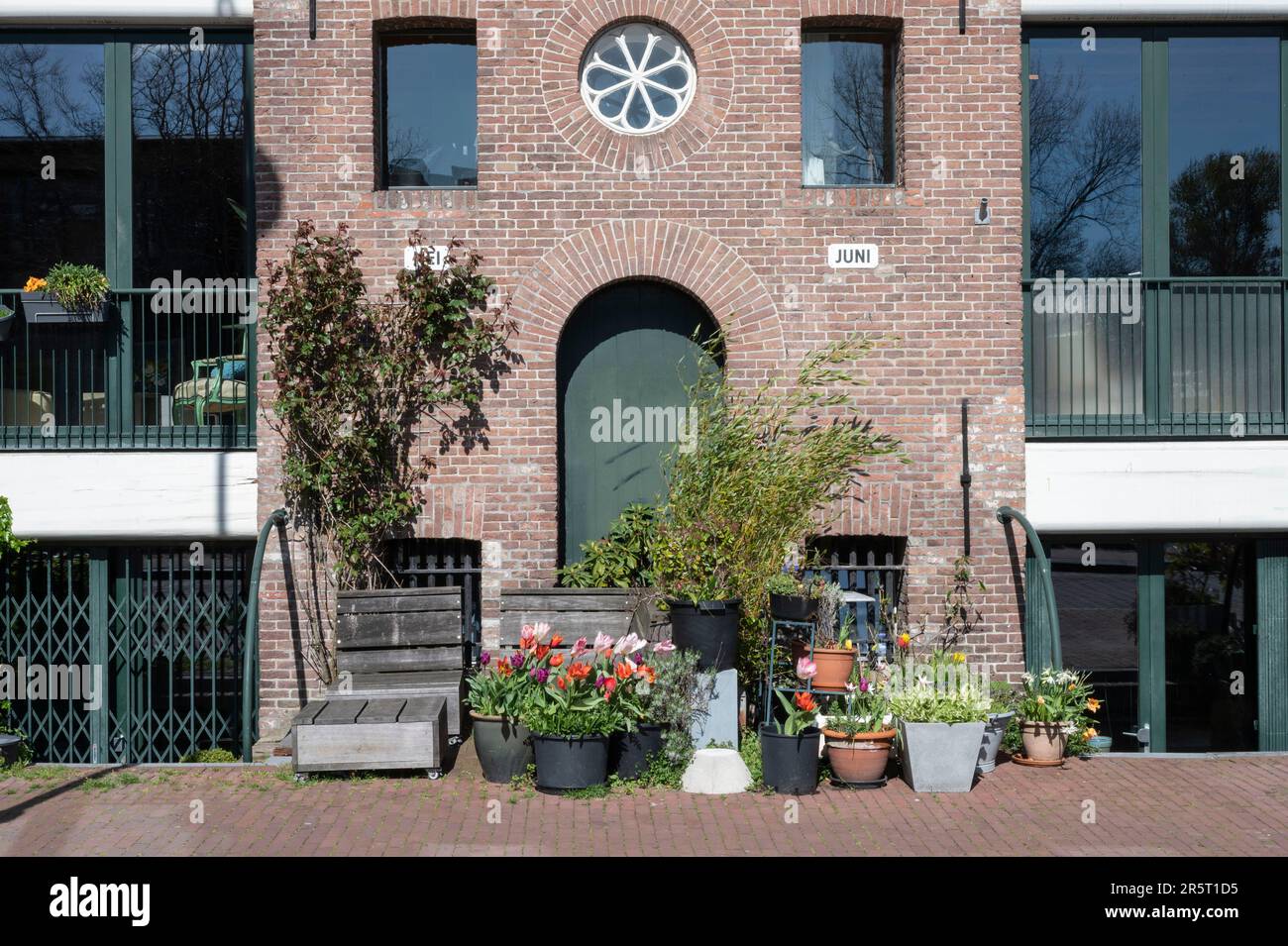 Olanda, Amsterdam, centro città, quartiere di Entrepotdok Foto Stock