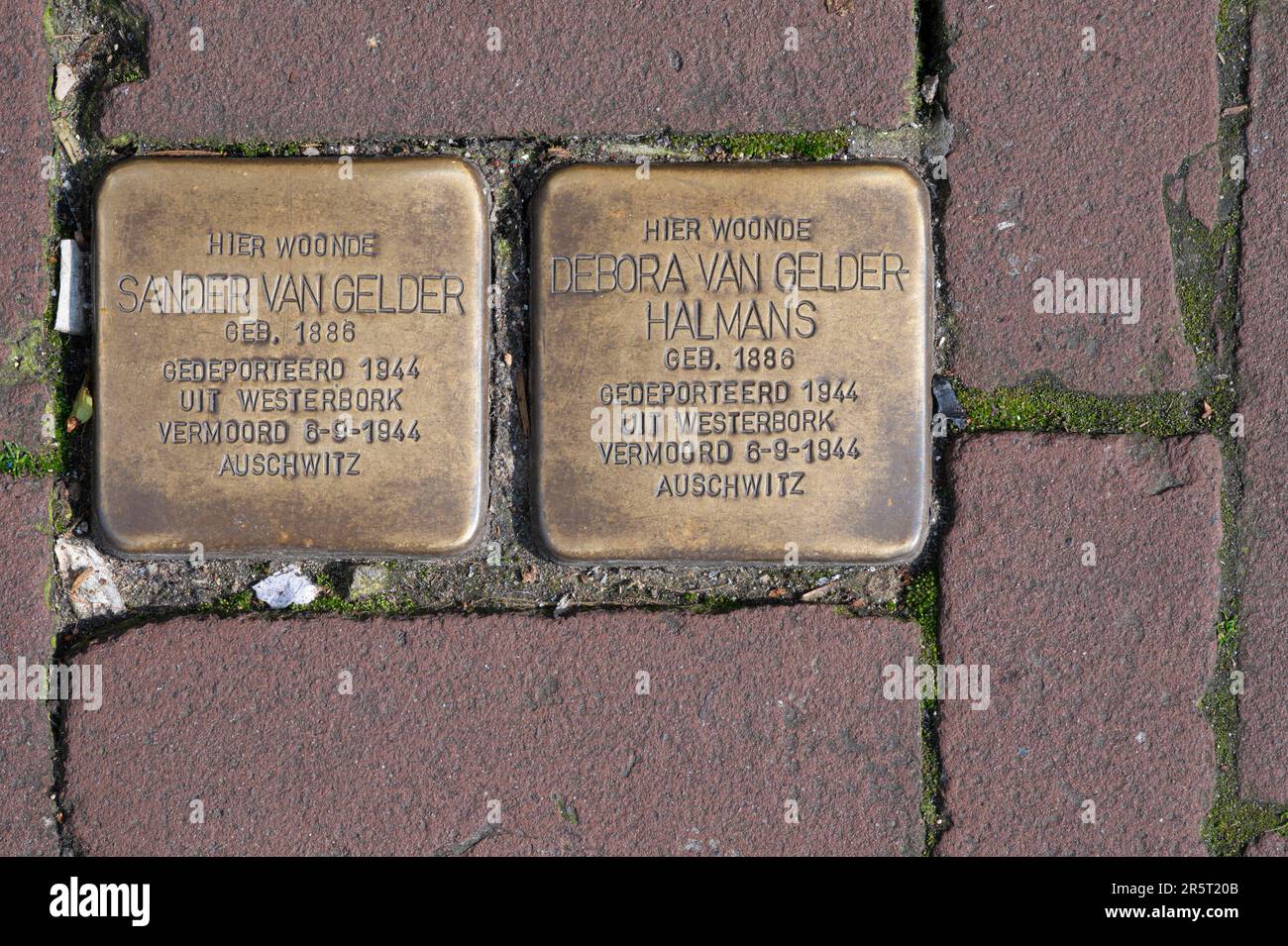 Olanda, Amsterdam, targhe commemorative tra i marciapiedi Foto Stock