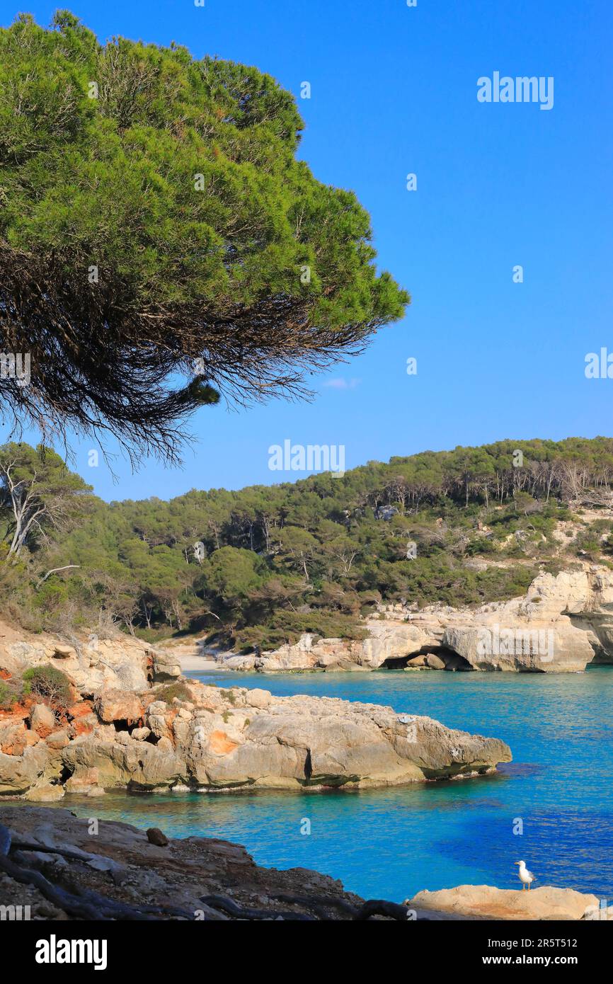 Spagna, Isole Baleari, Minorca, Ferreries, Mitjaneta Beach con Mitjana Beach sullo sfondo Foto Stock