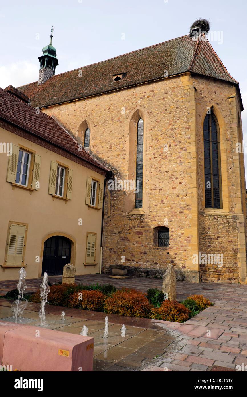 Francia, Alto Reno, Rouffach, Rue des Recollets, ex convento di Recollets, Corte cantonale, chiesa di Santa Caterina Foto Stock