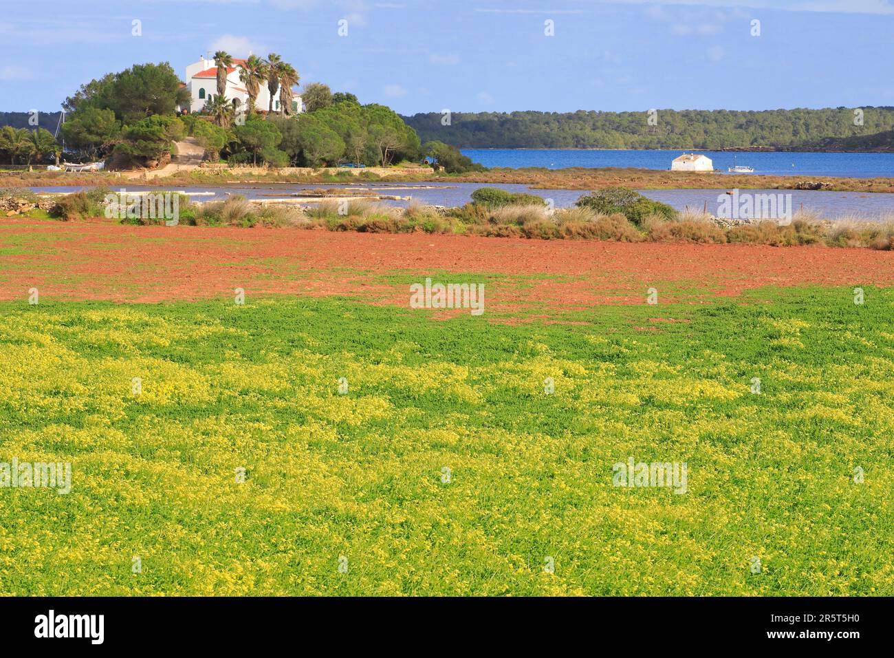 Spagna, Isole Baleari, Minorca, Fornells, Redona Beach, casa sul lungomare Foto Stock