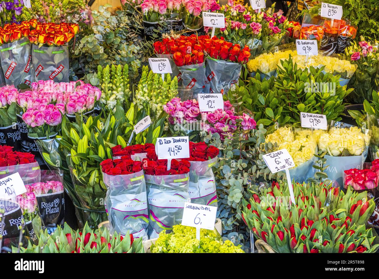 Olanda, provincia dell'Olanda settentrionale, Amsterdam, il Bloemenmarkt è un mercato olandese dei fiori stabilmente stabilito ad Amsterdam. Situato sul Singel e che si estende tra Muntplein e Koningsplein, è l'unico mercato galleggiante di fiori al mondo Foto Stock