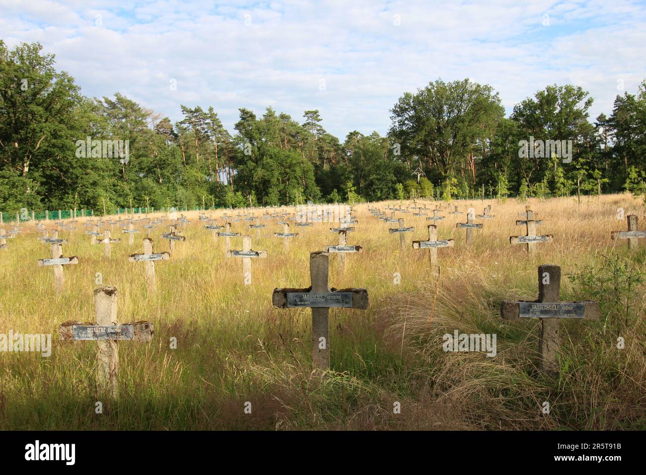 Una vista panoramica di un campo erboso con una collezione di croci in primo piano e uno sfondo di alberi e cielo blu Foto Stock