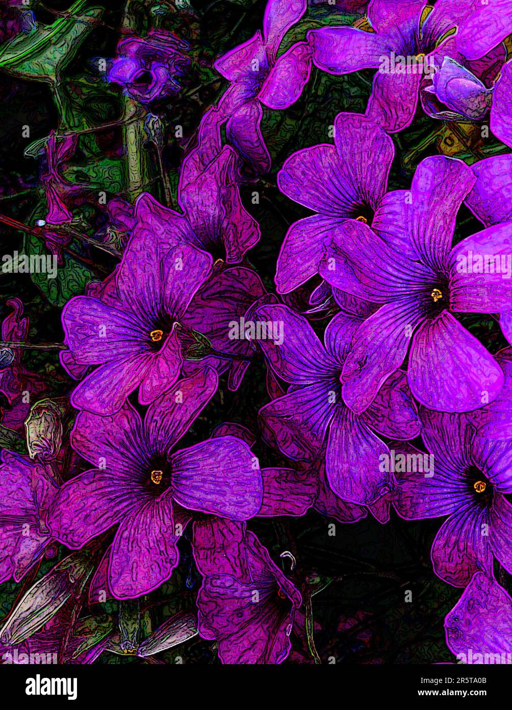 Illustrazione d'arte drammatica primo piano fioriera muraria, fioriera dalmata Adria, fioriera muraria (Campanula portenschlagiana) Foto Stock