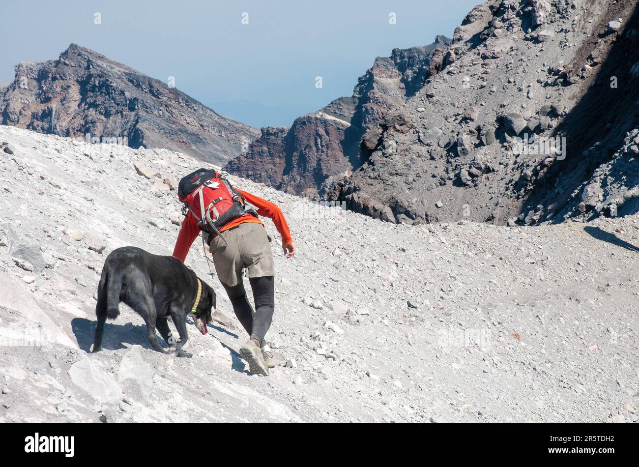 Donna singola arrampicatrice con cane che scende Mt Saint Helen, Washington state. STATI UNITI Foto Stock