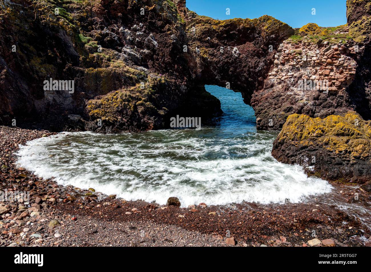 Dunbar Harbour, Dunbar, East Lothian, Scozia, Regno Unito Foto Stock