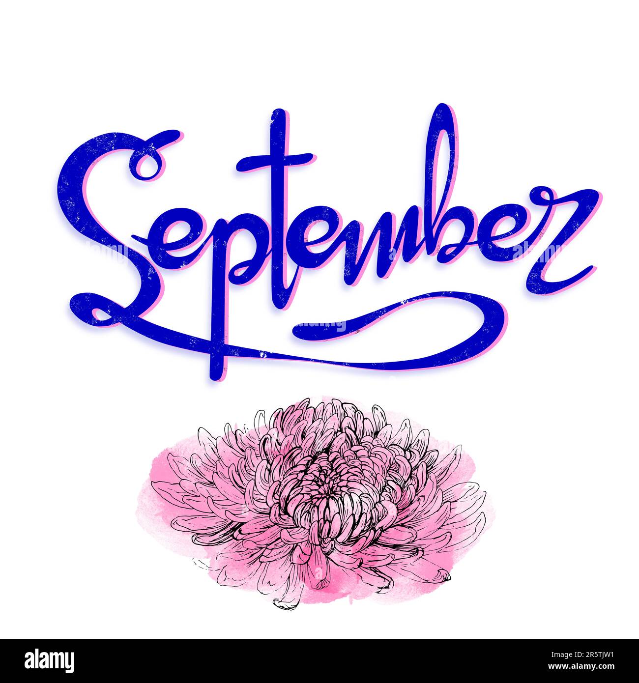 Scritta 'Settembre'. Scritta a mano con motivi floreali. Risorsa grafica su sfondo bianco, mese di settembre dell'anno con Chry Foto Stock
