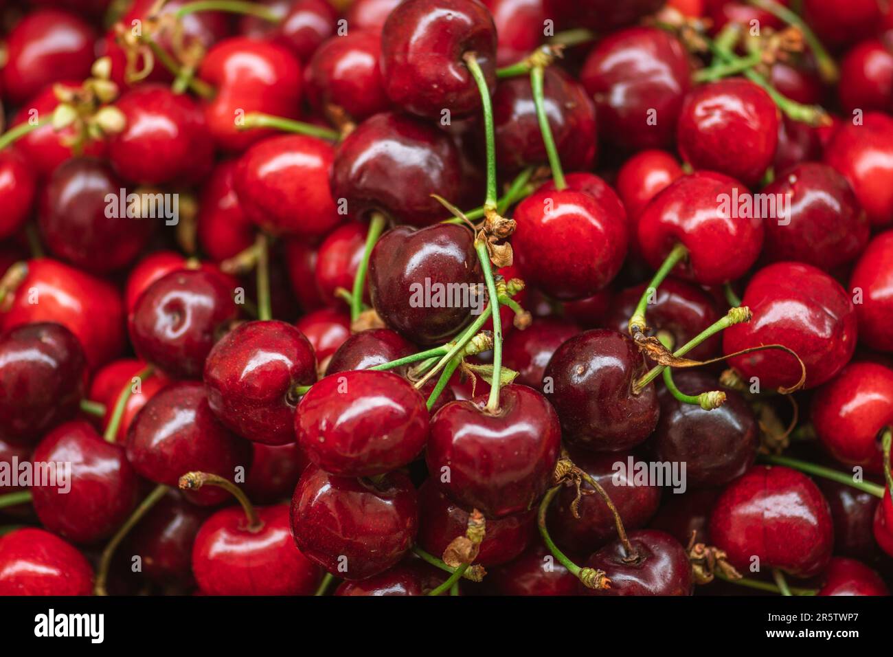 Frutta fresca matura di ciliegia rossa o ciliegie in una scatola di legno in un mercato agricolo all'aperto, cibo stagionale sano. Concetto di biologico, bio Foto Stock
