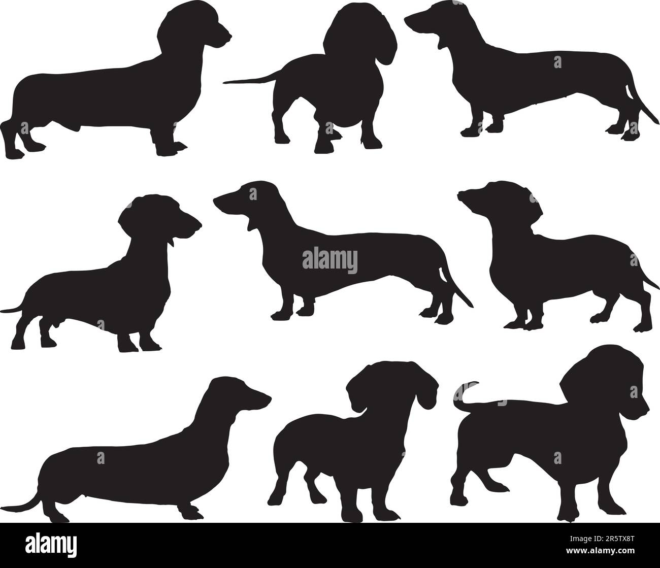 Set di Dachshund Dog silhouette Art Work su sfondo bianco Illustrazione Vettoriale