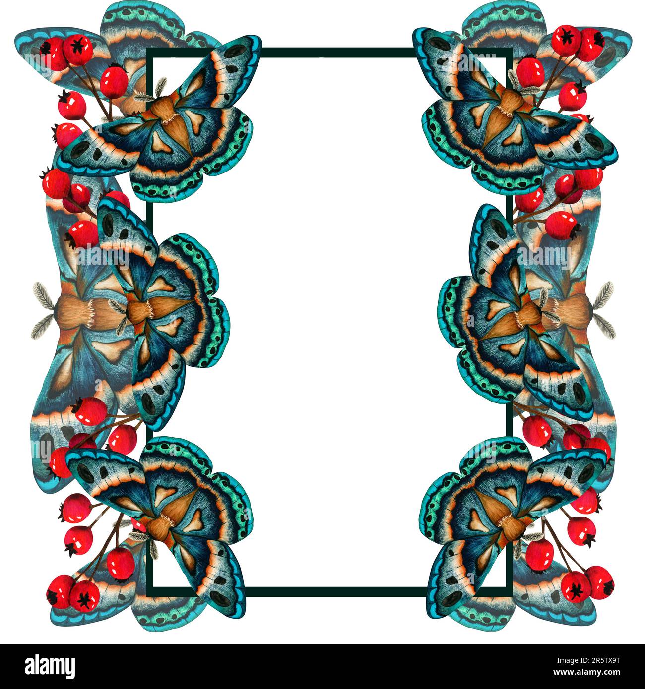 Cornice con blu verde montone e rosso bacche acquerello illustrazione isolata su sfondo bianco. Clip art mano dipinta farfalla imperiale notte. Insec Foto Stock