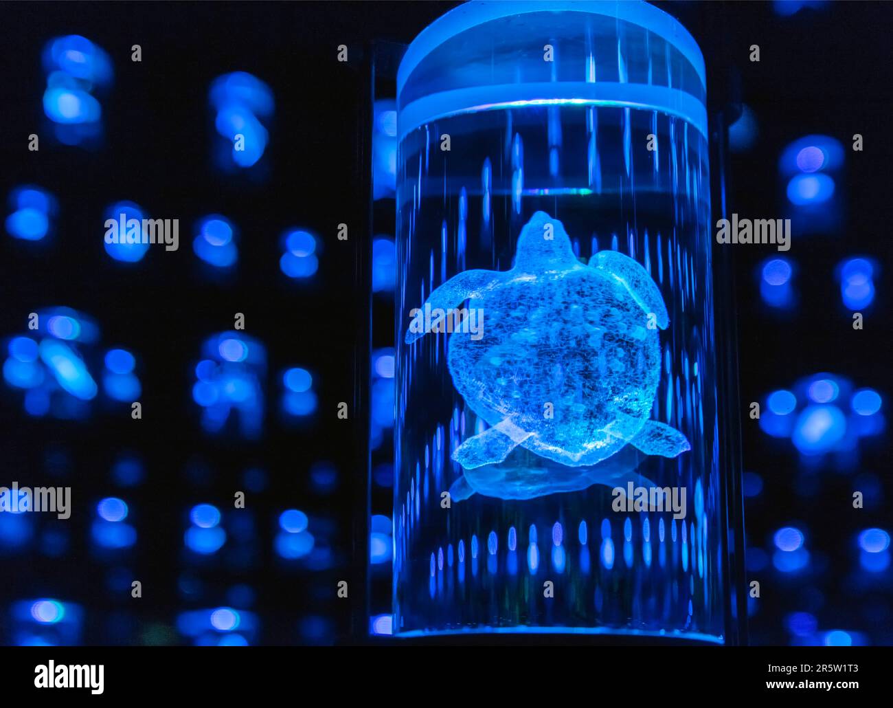 Una mostra al Museo del futuro, Dubai, Emirati Arabi Uniti Foto Stock