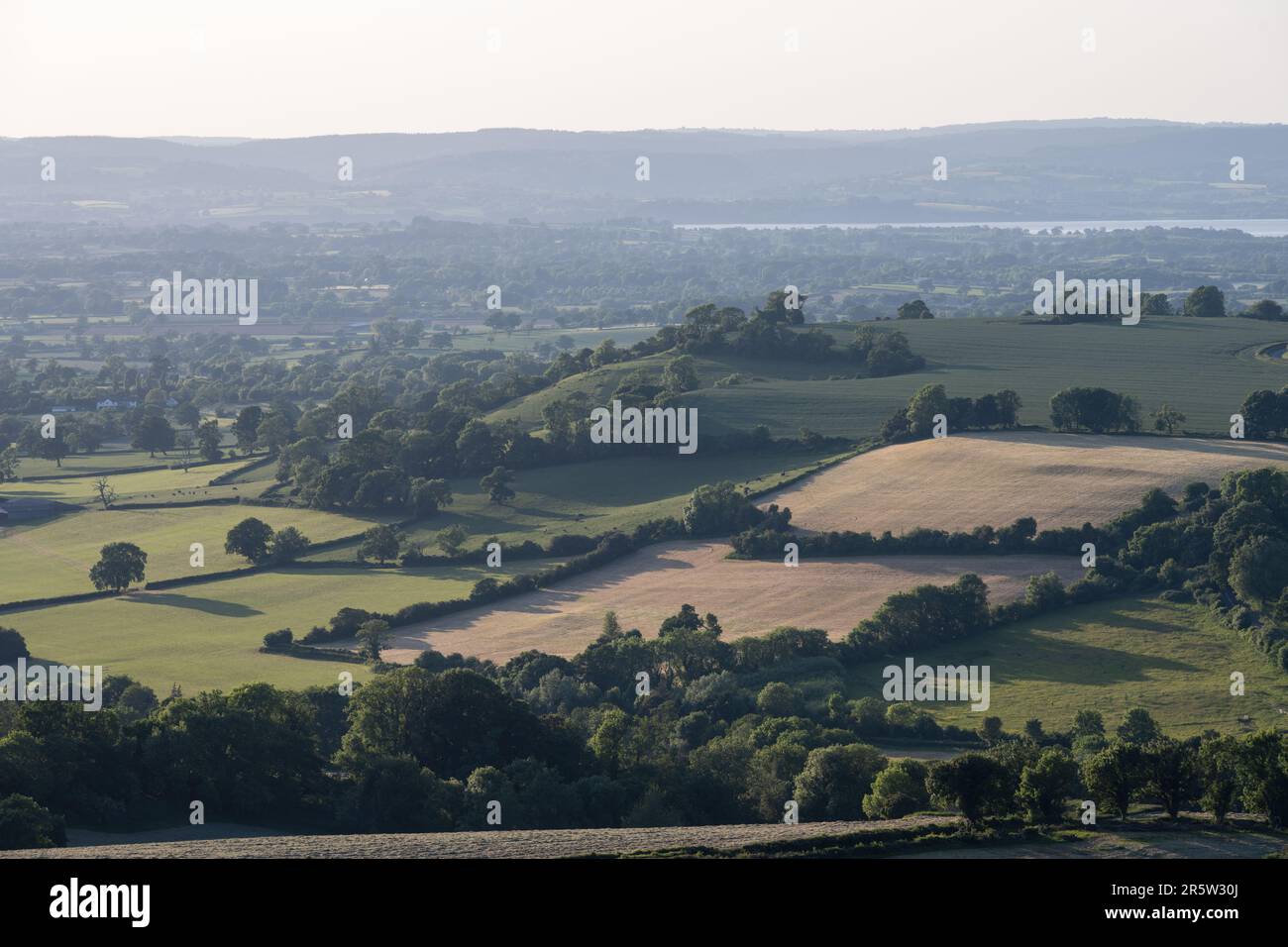 Terreni agricoli e alberi riempiono il paesaggio pastorale della vale di Berkeley accanto all'estuario Severn nel Gloucestershire, con la Foresta di Dean alle spalle. Foto Stock