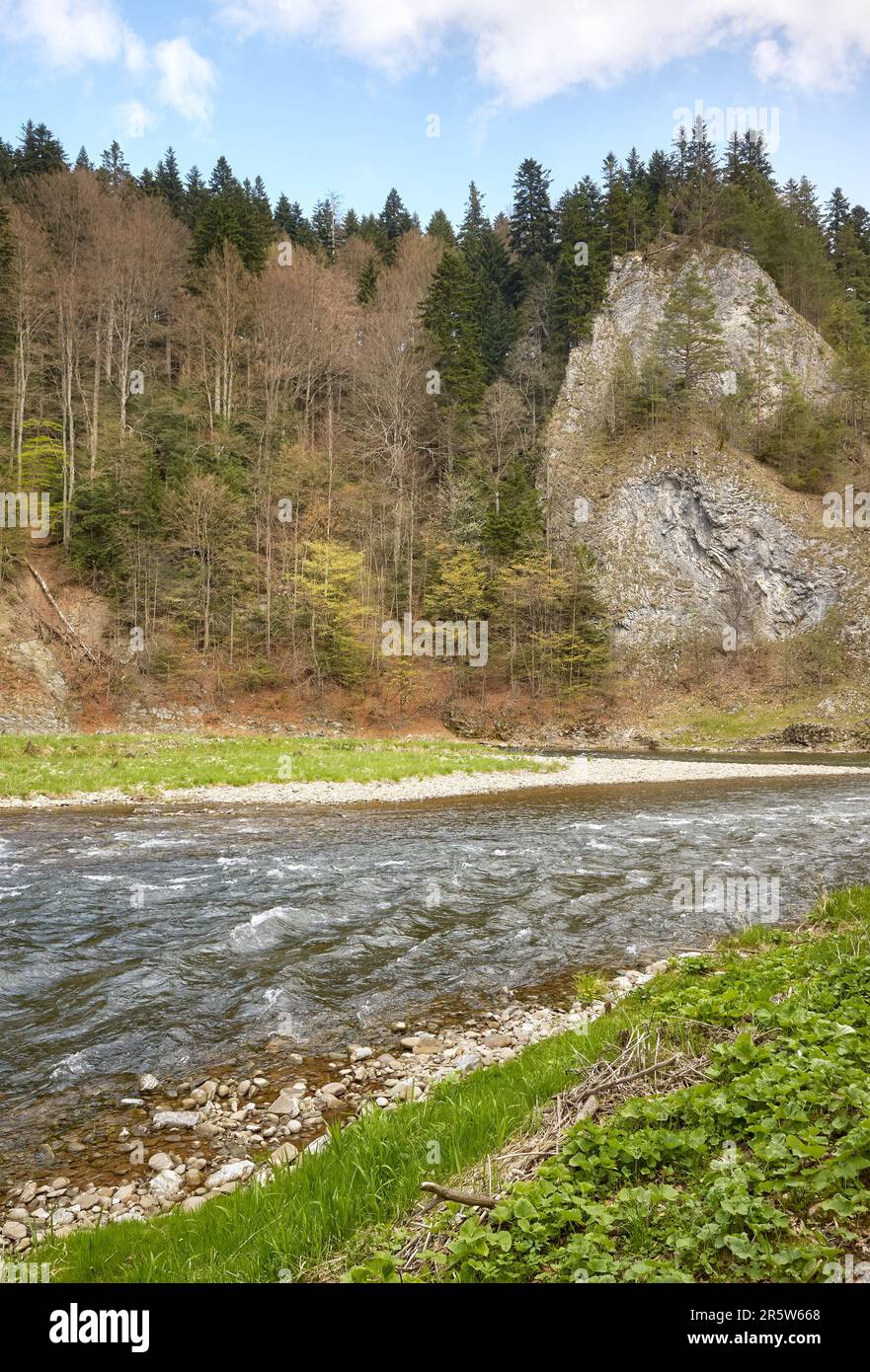 Fiume Dunajec nelle montagne di Pienin, Polonia. Foto Stock