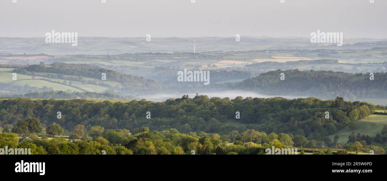 La nebbia mattutina sorge dal bosco della valle di Lyd nel paesaggio ondulato del Devon occidentale e della Cornovaglia visto dalla collina di Brent Tor sul bordo o Foto Stock