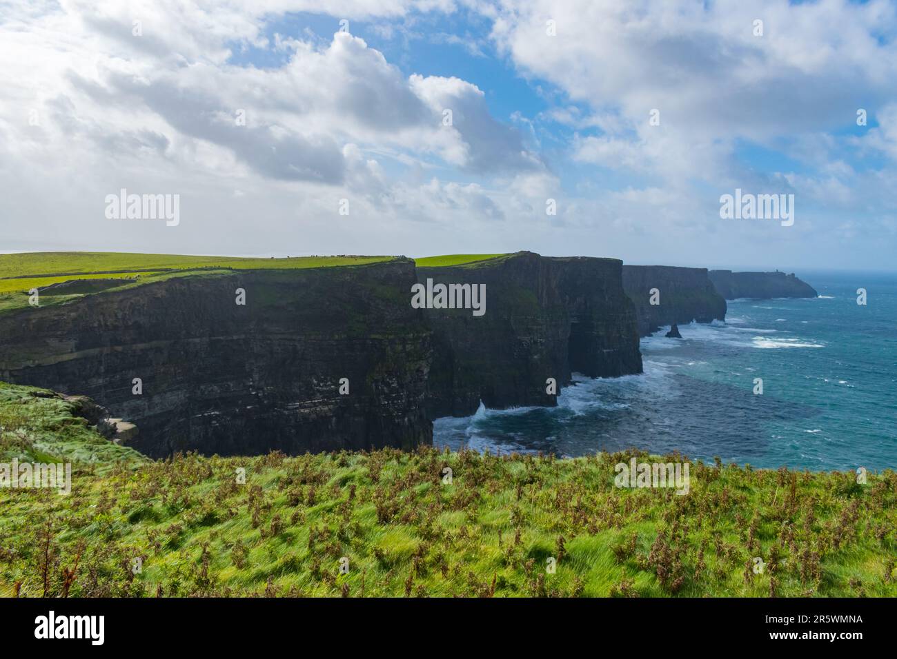 Una vista panoramica delle scogliere lungo una costa con lussureggiante erba verde sul lato e lo scintillante mare blu sullo sfondo Foto Stock