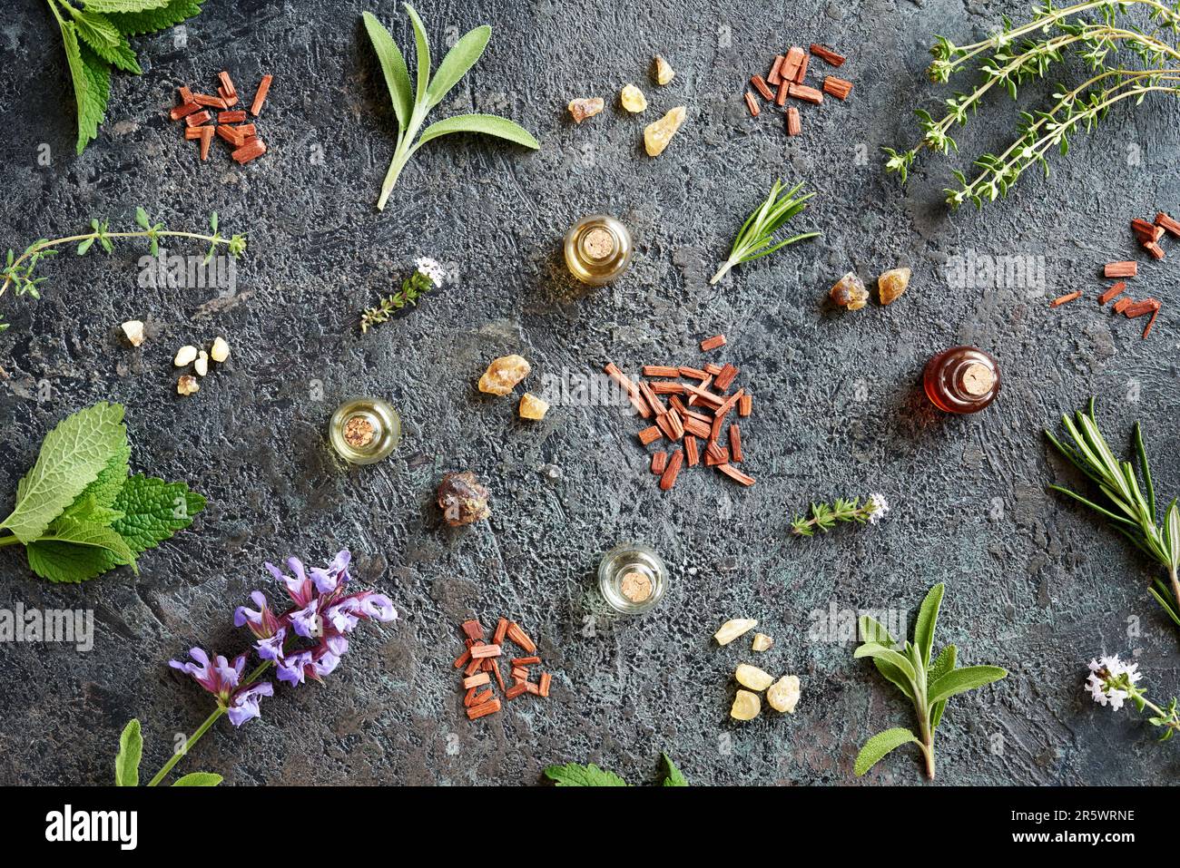 Bottiglie di olio essenziale per aromaterapia con incenso, legno di sandalo rosso, salvia in fiore e altre erbe su fondo scuro Foto Stock