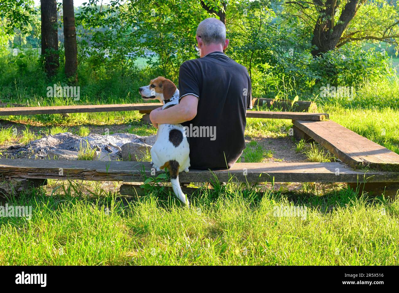 Un uomo anziano seduto su una panchina con il suo cane. Cane e il suo proprietario in natura. Il concetto di amicizia tra uomo e cane. Foto Stock