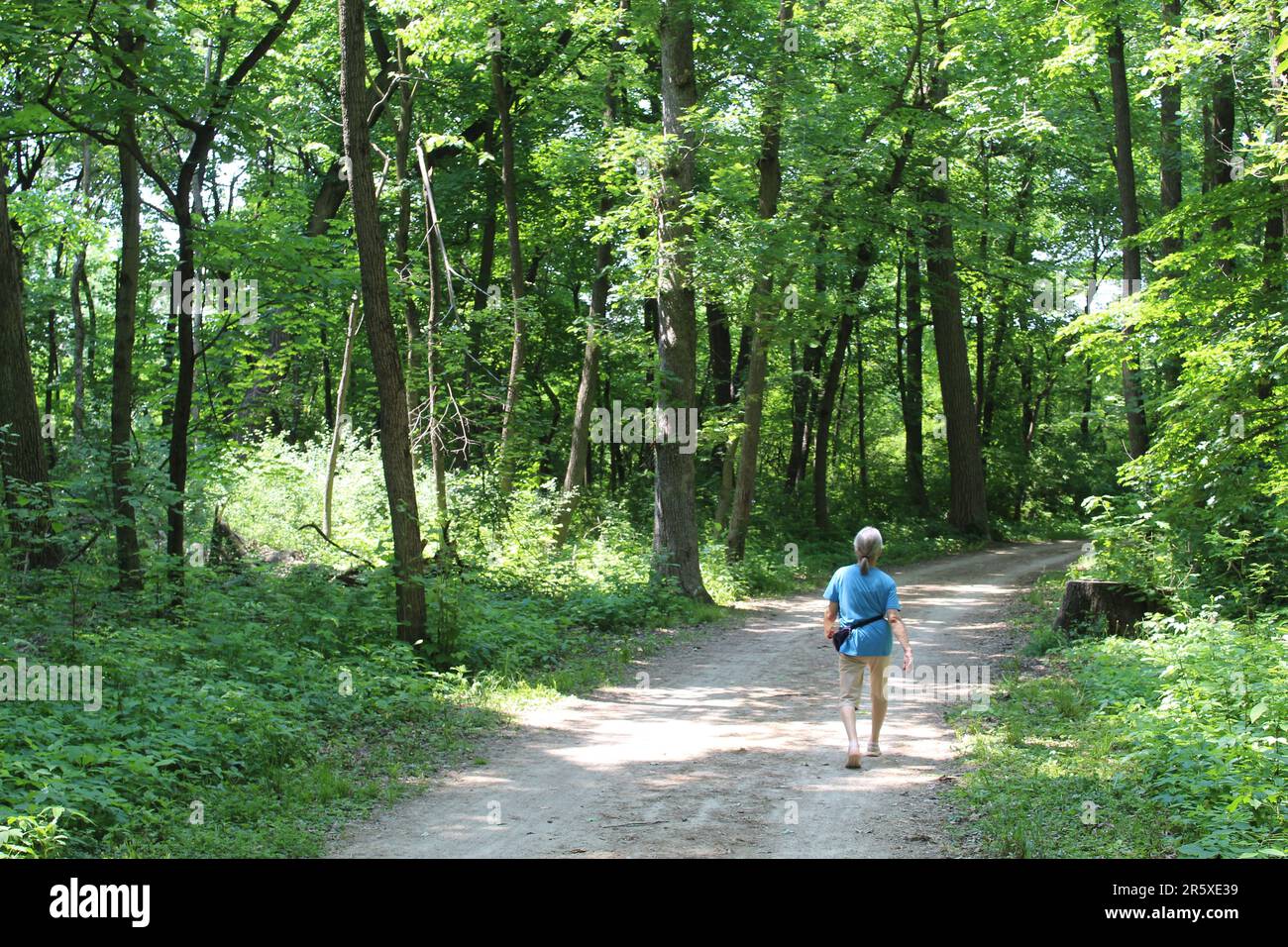 Donna anziana con lunghi capelli grigi che cammina sul Des Plaines River Trail a Des Plaines, Illinois in estate Foto Stock