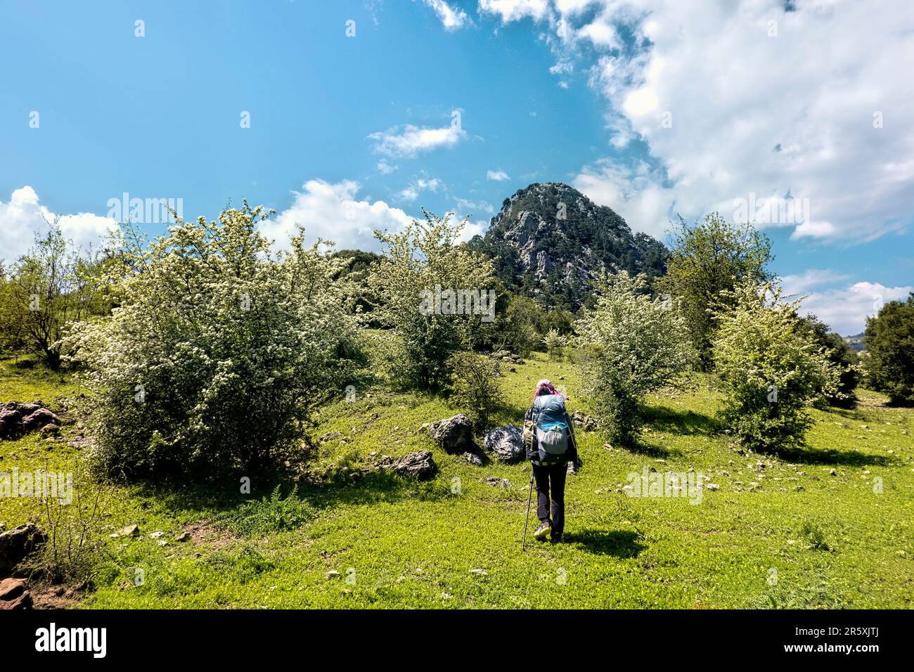 Primavera sulla Via Licia, Gul Mountain Turchia Foto Stock