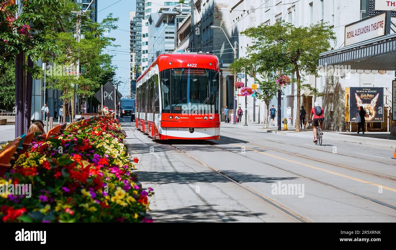 Vista sulla strada del nuovo tram di TTC Bombardier nel quartiere dei divertimenti del centro di Toronto. New Toronto Transit Commision tram per le strade di Toront Foto Stock