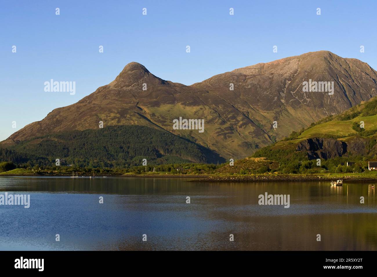 Hill Glencoe, Glen Coe, Conservation England, Scotland, Regno Unito Foto Stock