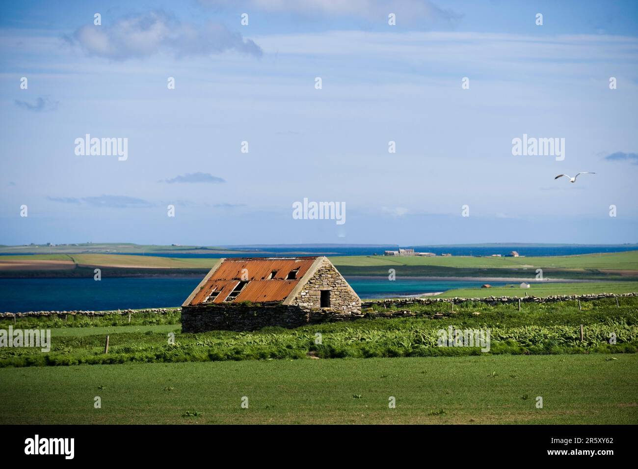 Rovine della casa, Isole Orcadi, Scozia, Gran Bretagna Foto Stock