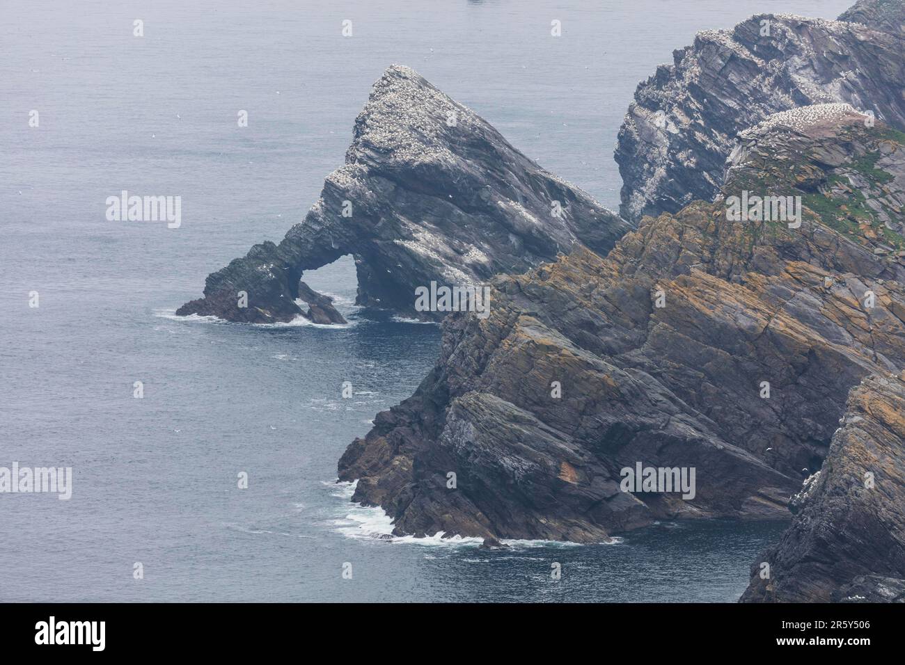 Hermaness National Nature Reserve, Unst, Shetlands, Regno Unito Foto Stock