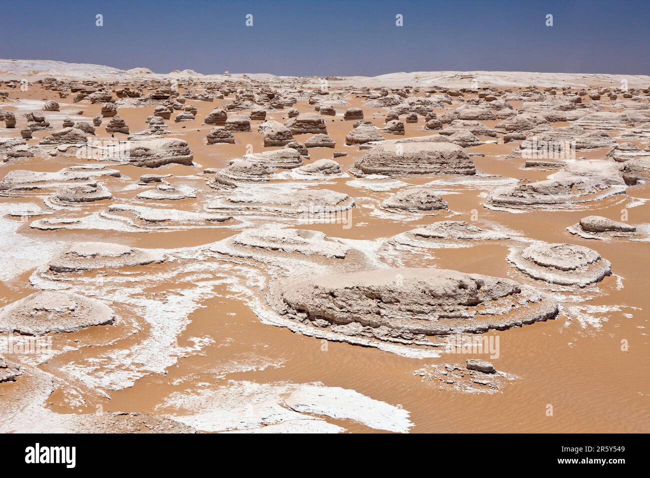 Formazioni calcaree, Parco Nazionale del deserto Bianco, Qasr el-Farafra, deserto Libico, Egitto Foto Stock