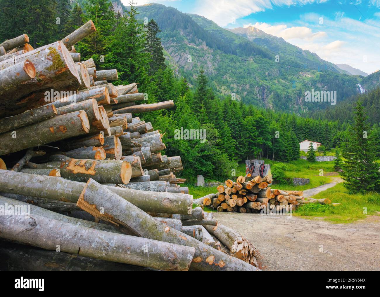 legno tagliato e deforestazione. concetto di disastro ambientale. montagne carpatiche in estate Foto Stock