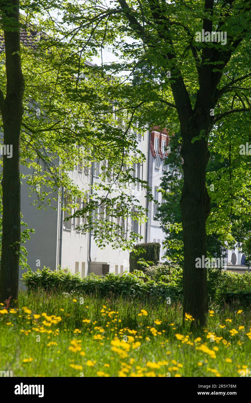 Case residenziali in primavera, Vegesack, Brema, Germania Foto Stock