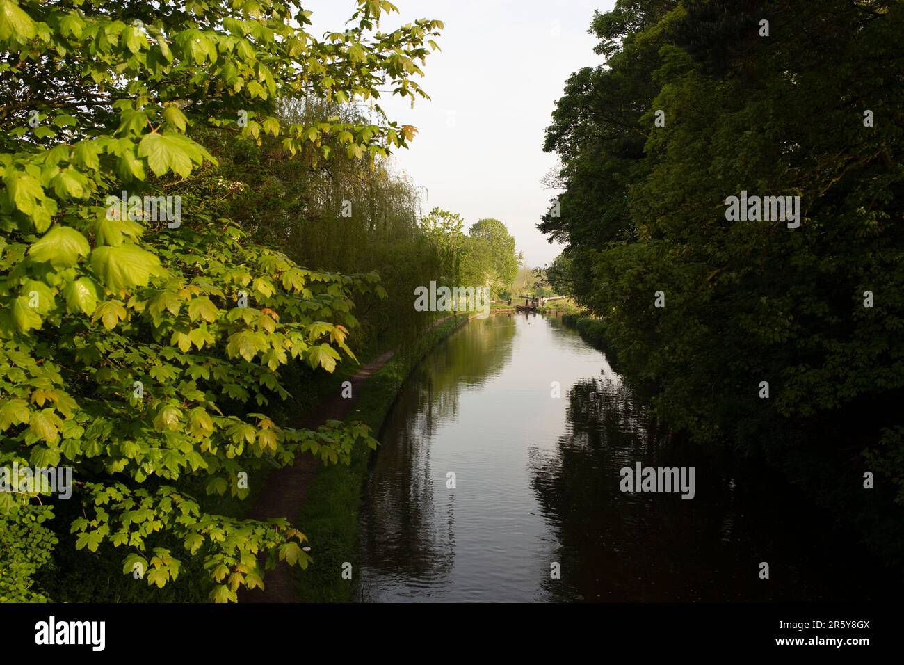 Alberi e porte chiuse a Tyrley Locks sul canale Shropshire Union in Inghilterra. Alberi riflessi in acqua ferma in una mattina di sole Foto Stock