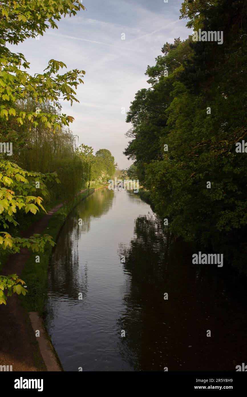 Alberi e porte chiuse a Tyrley Locks sul canale Shropshire Union in Inghilterra. Alberi riflessi in acqua ferma in una mattina di sole Foto Stock