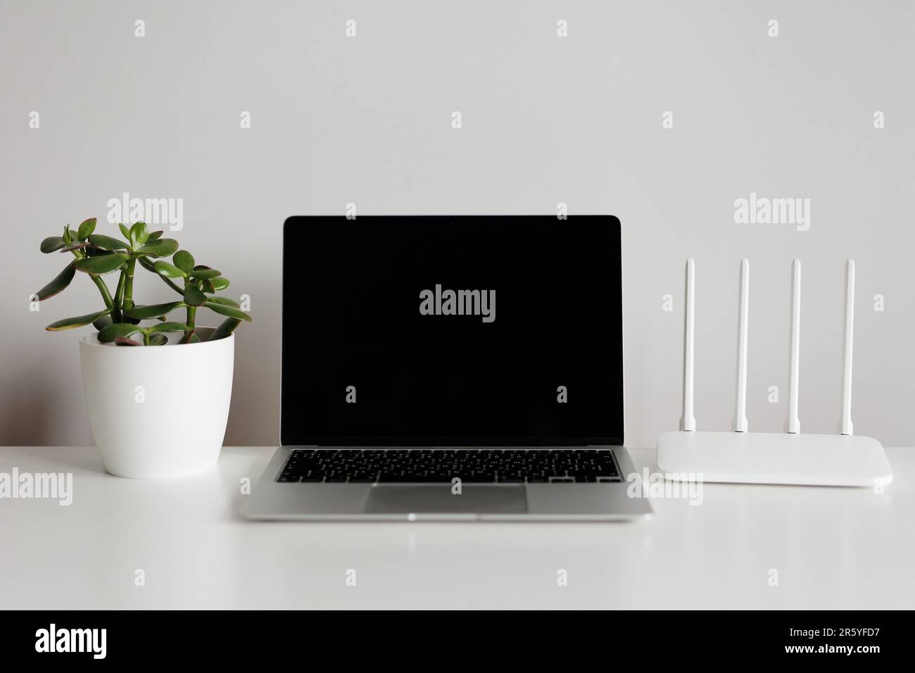 Aprire il computer portatile, il router e la pianta verde sul tavolo bianco Foto Stock