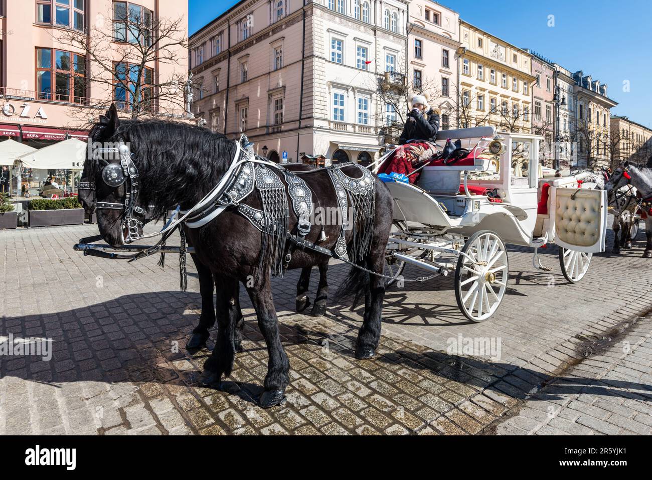 Cracovia, Polonia - 11 marzo 2022: Carrozza a cavallo sulla piazza principale di Cracovia, provincia di Malopolskie, Polonia. Popolare attrazione turistica, a cavallo c Foto Stock