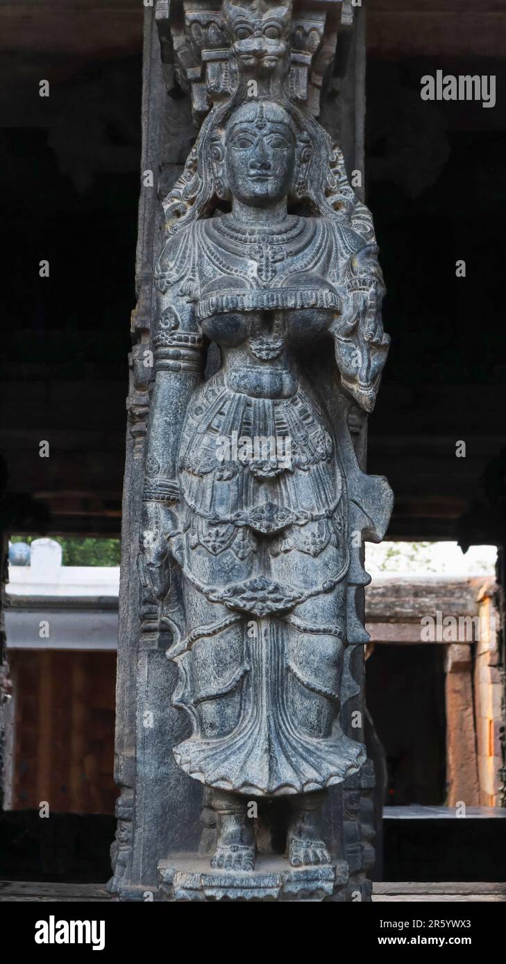 Scultura di Donne sulla colonna di Mandapa a Chintala Venkatramana Swamy Tempio, Tadipatri, Andhra Pradesh, India. Foto Stock