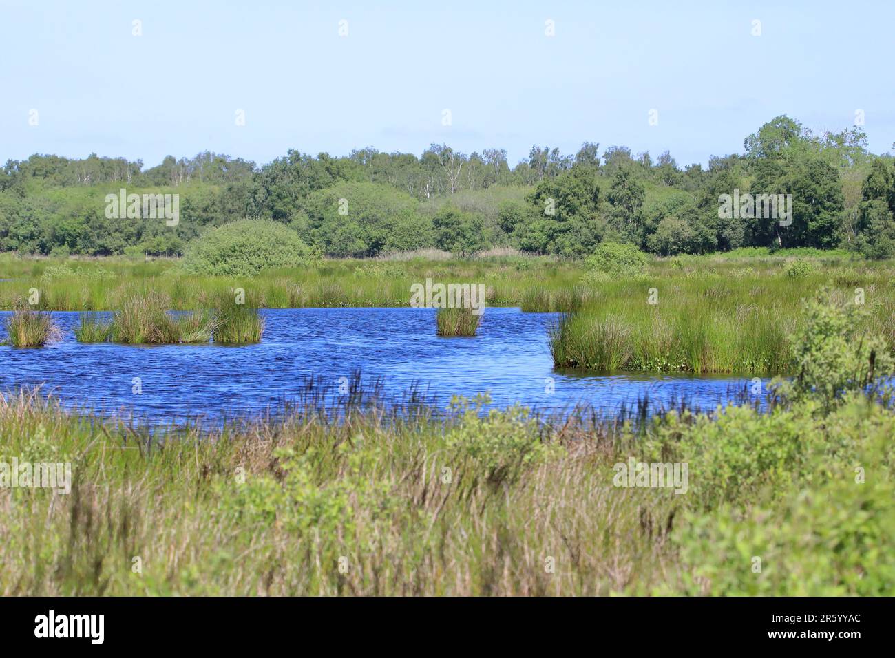 stagno su Thorne Moor Foto Stock