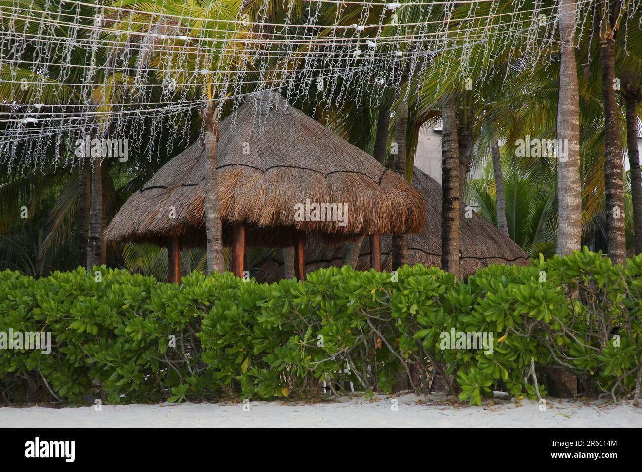 Splendidi arbusti verdi e palme vicino a tettoie di paglia sulla spiaggia di sabbia Foto Stock