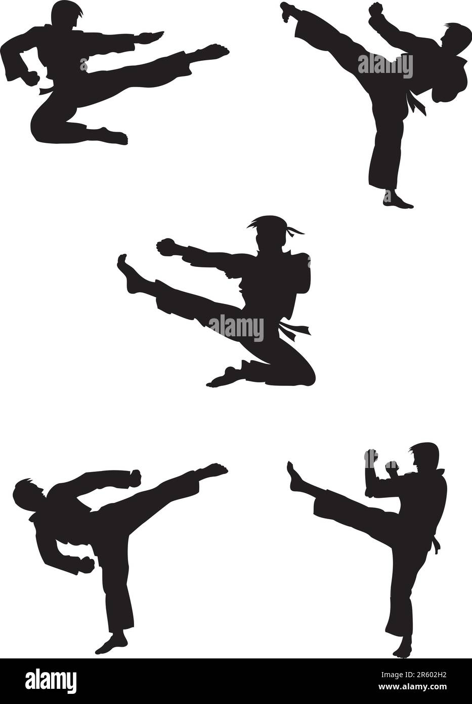 Illustrazione vettoriale dei combattenti di karate Illustrazione Vettoriale
