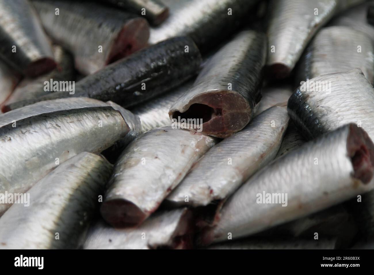 Sardine in fase di approntamento per la conservazione Foto Stock